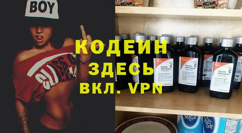 Кодеиновый сироп Lean Purple Drank  Алатырь 